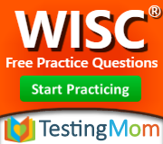 WISC Practice Test